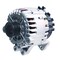 Wai Global Alternator, ALTVA IRIF 12V 230A S7 CW, 230 Amp12 Volt, CW 11397N - alternate 2